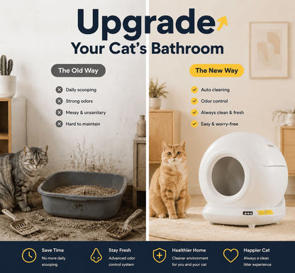 Self-Cleaning Automatic Cat Litter Box for Multiple Cats